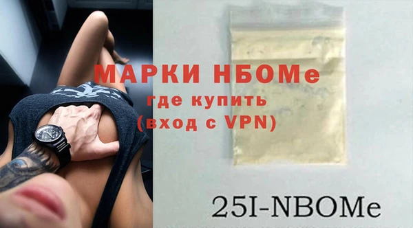 прущие грибы Новозыбков