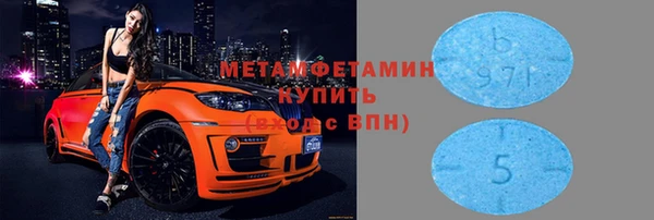 прущие грибы Новозыбков