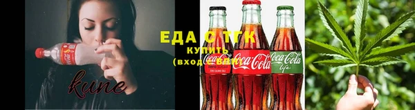 прущие грибы Новозыбков