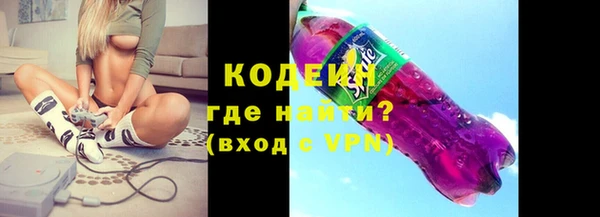 хмурый Няндома