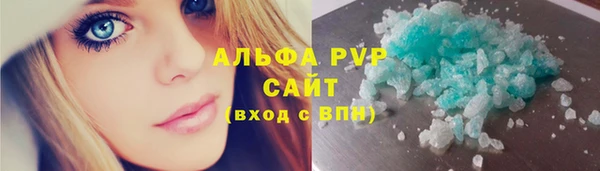 хмурый Няндома