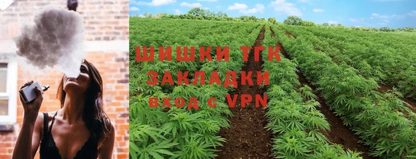 хмурый Няндома