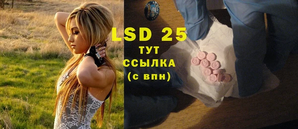 хмурый Няндома