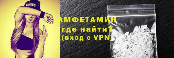 прущие грибы Новозыбков