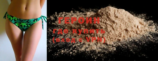 прущие грибы Новозыбков