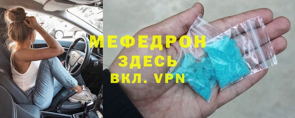 прущие грибы Новозыбков