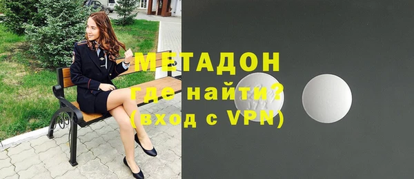 прущие грибы Новозыбков